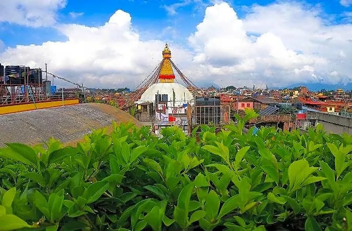 Hotel Bodhiz 2*